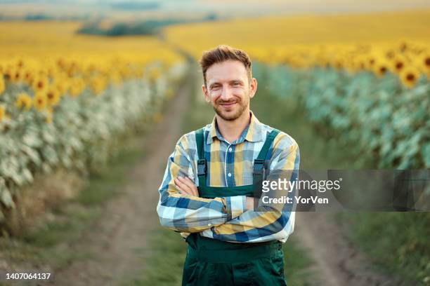 bearded farmer with crossed arms standing in sunflower field - farmer arms crossed stock pictures, royalty-free photos & images