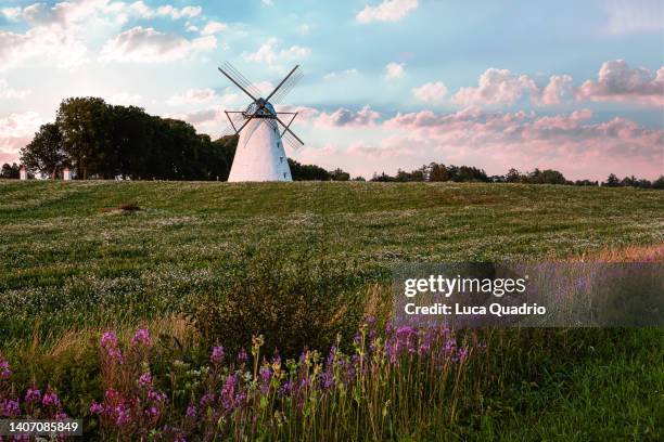 estonian windmill at sunset - estonia bildbanksfoton och bilder