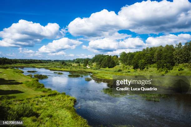venta river in a summer day - latvia forest stock pictures, royalty-free photos & images