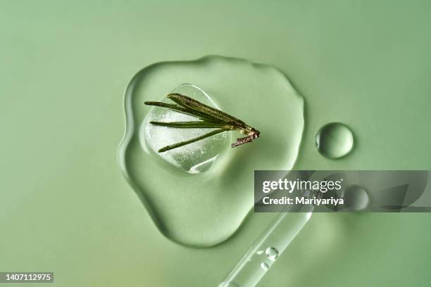 melting ice cube with rosemary. excellent demonstration of cosmetics with rosemary in the composition. - rosmarin bildbanksfoton och bilder