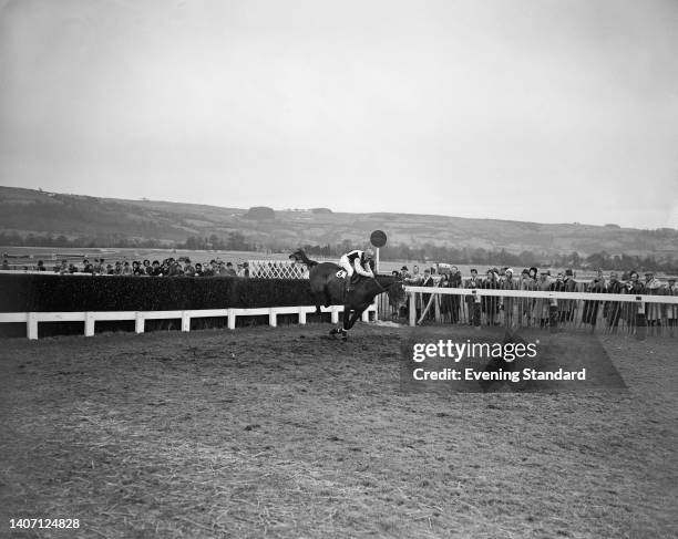 Irish jockey Willie Robinson rides Irish racehorse Mill House to victory in the Cheltenham Gold Cup at Cheltenham Racecourse in Cheltenham,...