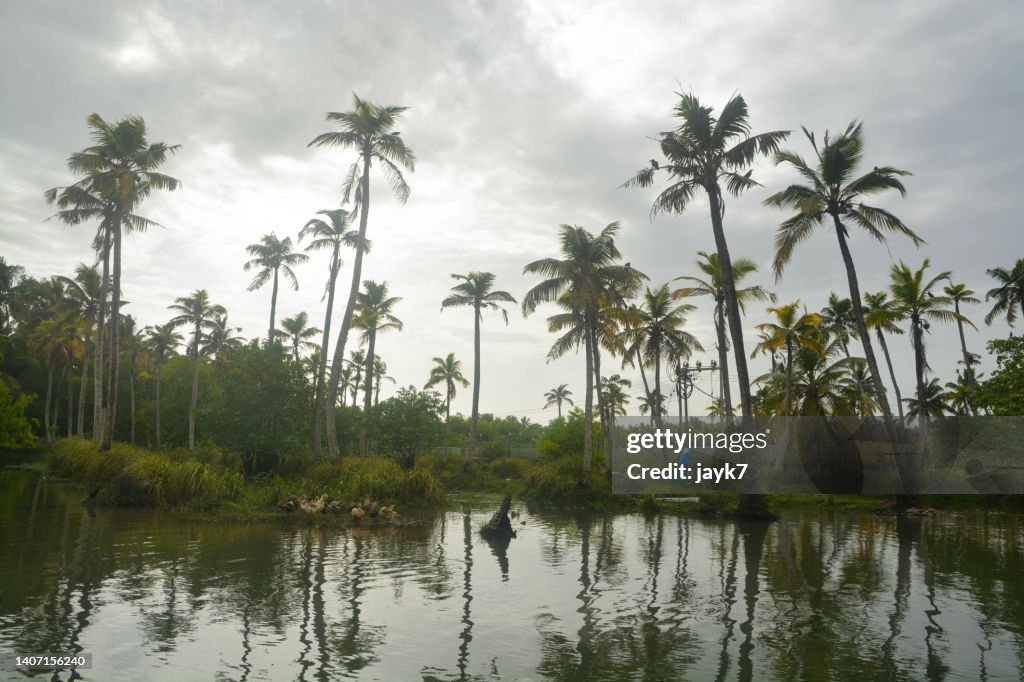 Kerala Backwaters