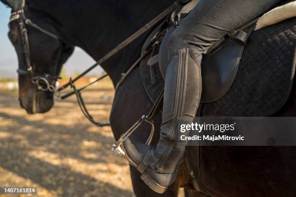 rider on horse - stirrup stock pictures, royalty-free photos & images