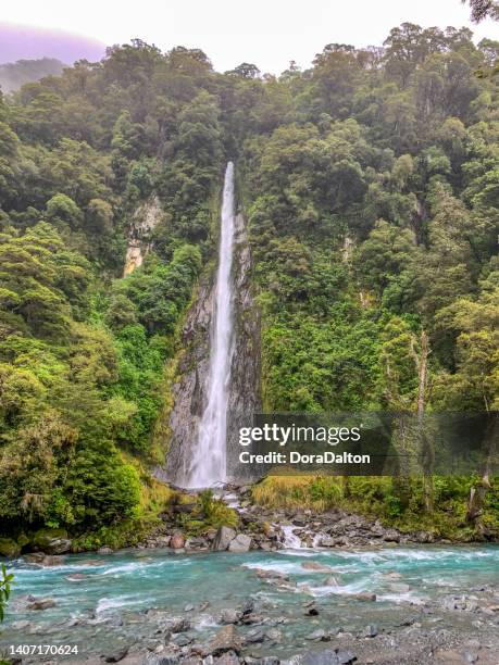 thunder creek falls, haas pass, mount aspiring national park in west coast, new zealand - haas stock pictures, royalty-free photos & images