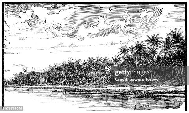 viwa island in fiji - 19th century - etching stock illustrations