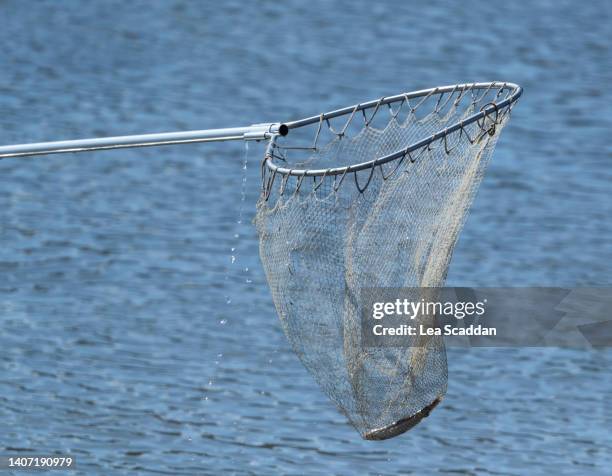 dipnetting hooligan fish - fischnetz stock-fotos und bilder