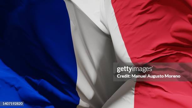 flag of france - bandera francesa fotografías e imágenes de stock