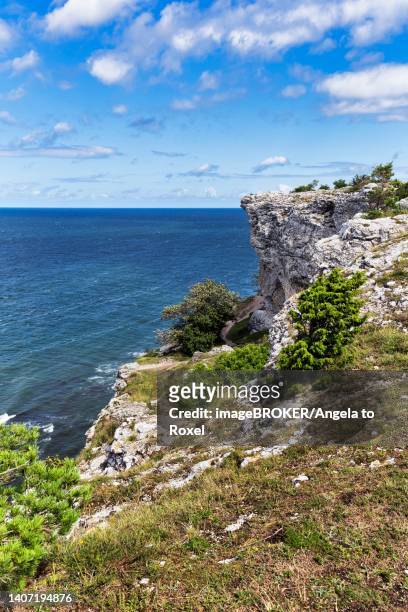cliff coast hoegklint in summer, reef limestone, visby, west coast, gotland island, sweden - kalksteen stockfoto's en -beelden
