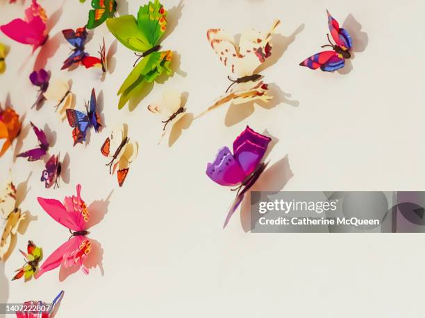 butterfly wall display - swarm of insects foto e immagini stock