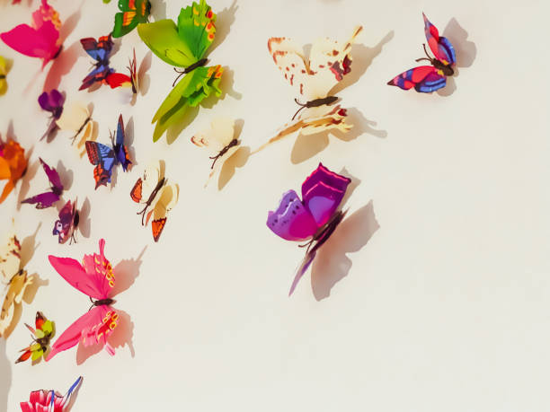 butterfly wall display - zoo art stock pictures, royalty-free photos & images