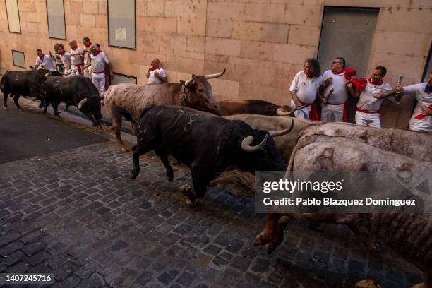 Revellers run with El Capea and Nuñez del Cuvillo's fighting bulls during the second day of the San Fermin Running of the Bulls festival on July 07,...