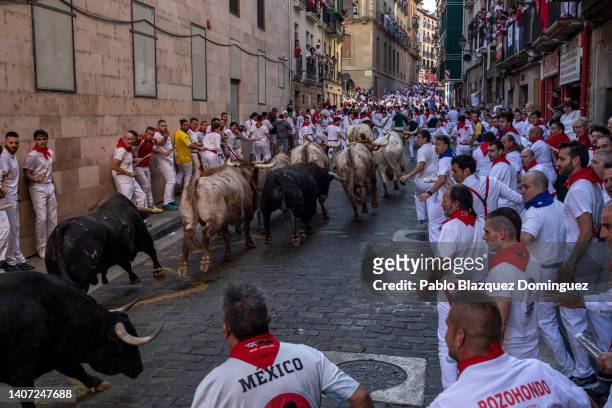 Revellers run with El Capea and Nuñez del Cuvillo's fighting bulls during the second day of the San Fermin Running of the Bulls festival on July 07,...