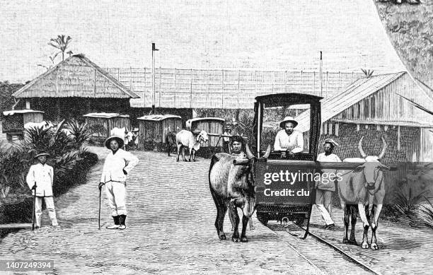 ox sedan chair in china on its way - chinese sedan chair stock illustrations