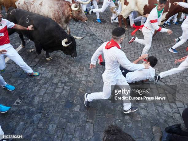 Several runners next to the bulls during the first running of the bulls of the San Fermin 2022 Fiestas of the Nuñez de Cuvillo bull-ranch on July 7...