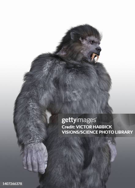 bigfoot, illustration - yeti stock illustrations