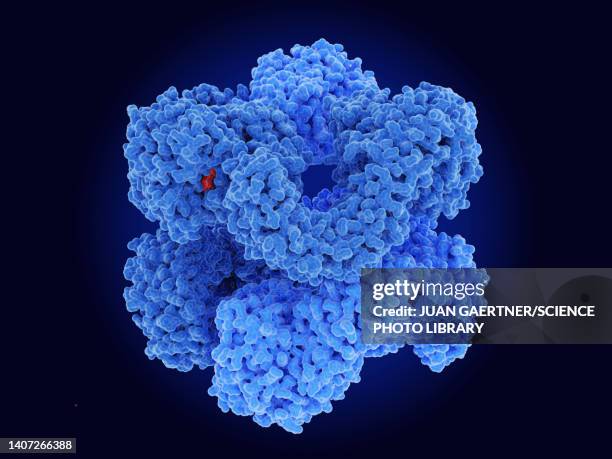 nlrp3 inflammasome, molecular model - immunologie stock-fotos und bilder