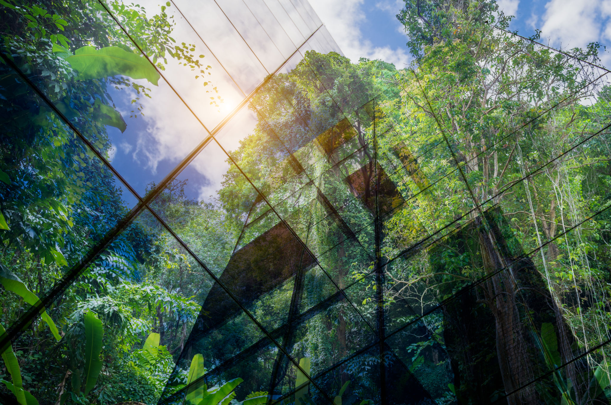 sustainable building practices