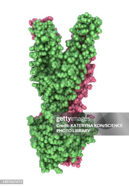 multidrug transporter molecule, illustration - staphylococcus aureus stock illustrations