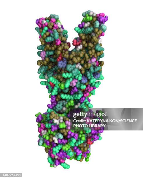 multidrug transporter molecule, illustration - staphylococcus aureus stock illustrations