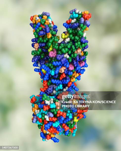 multidrug transporter molecule, illustration - staphylococcus aureus stock illustrations