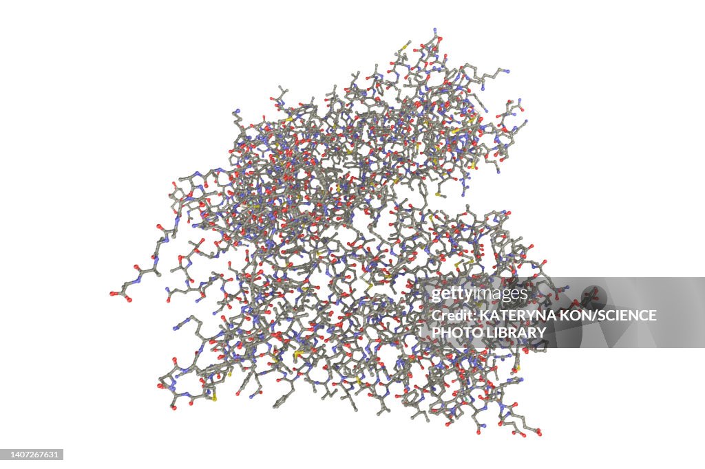 Rods Rhopsin Rhodopsin Molecule Illustration High-Res Vector Graphic - Getty Images