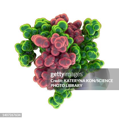 Insulin molecule, illustration Insulin molecule, illustration