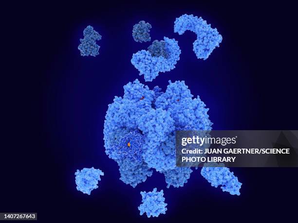 ilustrações, clipart, desenhos animados e ícones de activation of nlrp3 inflammasome, illustration - autoimmune disease