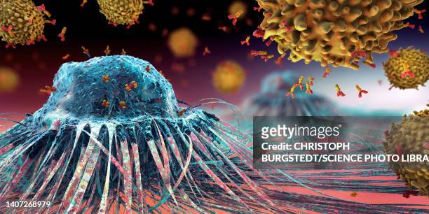 lymphocytes cells attacking a cancer cell, illustration - metastatic tumour stock illustrations