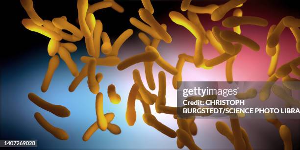 clostridium botulism pathogens - 3d illustration - peptide stock illustrations