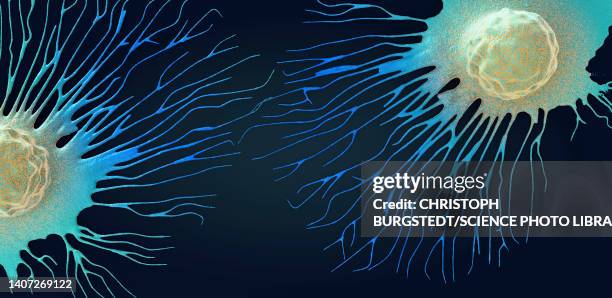 spreading cancer cell, illustration - science abstract stock illustrations
