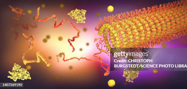 protein folding, illustration - amino acid stock illustrations
