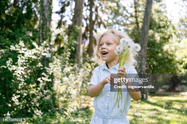 happy smiling girl with dandelions - child dandelion stockfoto's en -beelden