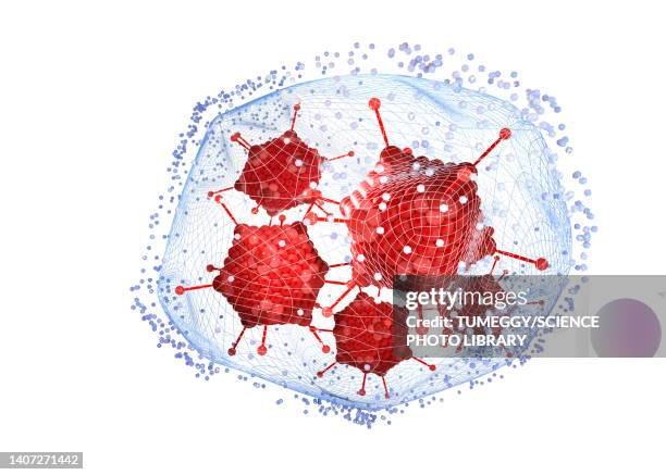 ilustrações de stock, clip art, desenhos animados e ícones de viruses in a net, conceptual illustration - adenovírus