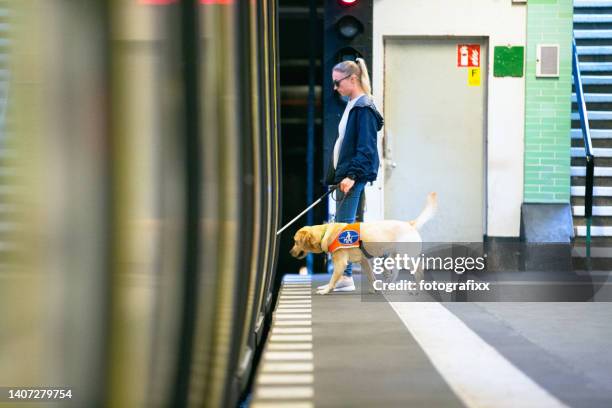 service dog leads a blind person into the subway - blindheid stockfoto's en -beelden