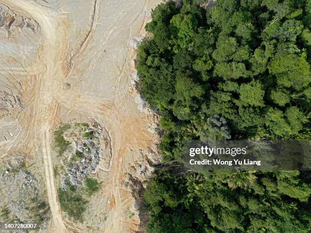 rainforest being destroyed - borneo deforestation stock pictures, royalty-free photos & images