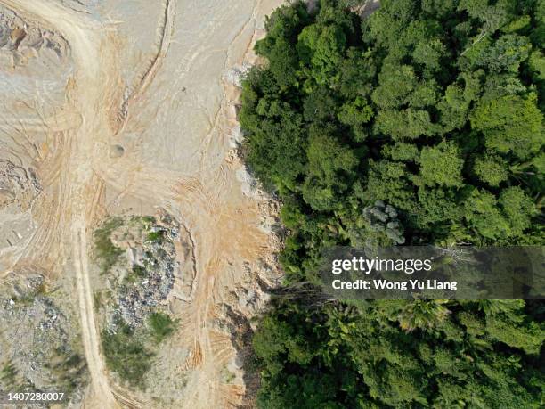 rainforest being destroyed - borneo - fotografias e filmes do acervo