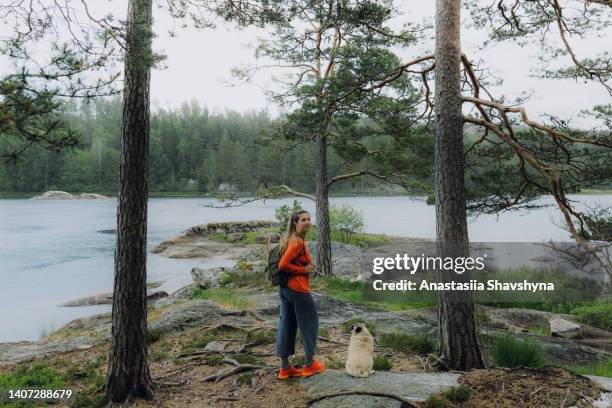 female with backpack walking with a dog in the swedish forest to the lakeshore - norrbotten province 個照片及圖片檔