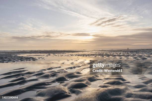 wet empty beach at sunrise - wattenmeer stock-fotos und bilder