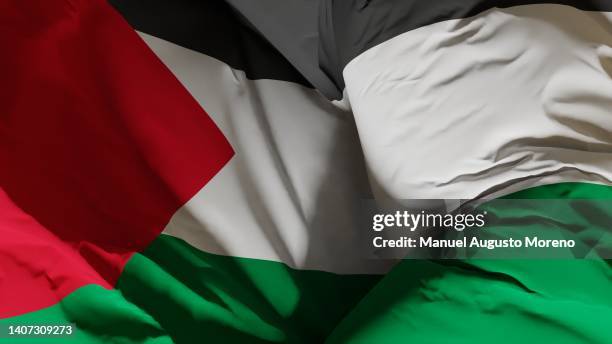 flag of palestine - palästinensische flagge stock-fotos und bilder