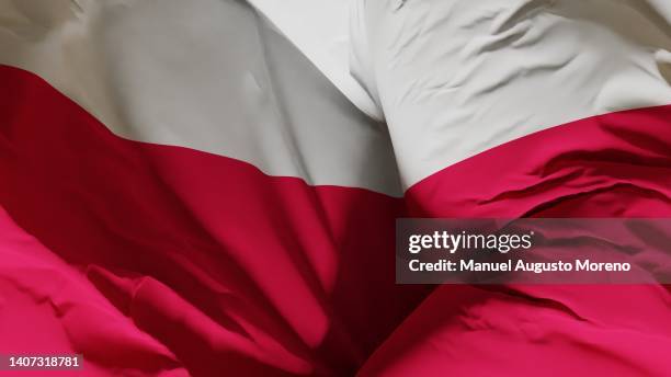 flag of poland - polish flag stock pictures, royalty-free photos & images