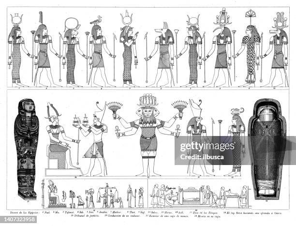 ilustraciones, imágenes clip art, dibujos animados e iconos de stock de colección de grabados antiguos, civilización: dioses egipcios - cultura egipcia