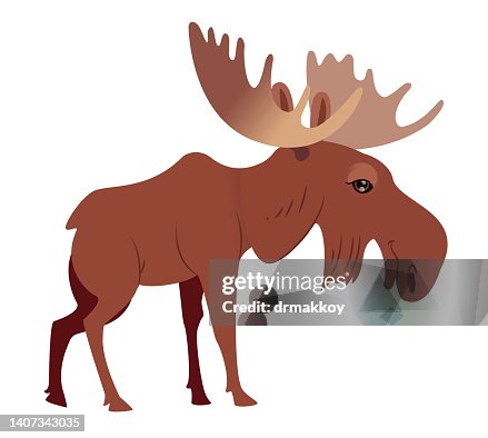 Moose Moose