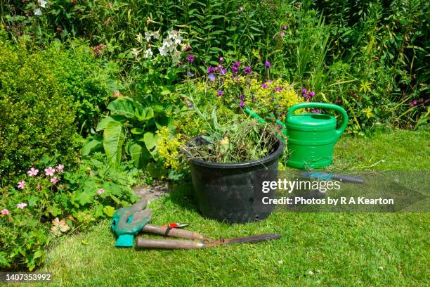 garden tools beside a mixed border in an english country garden - flower bucket stock pictures, royalty-free photos & images