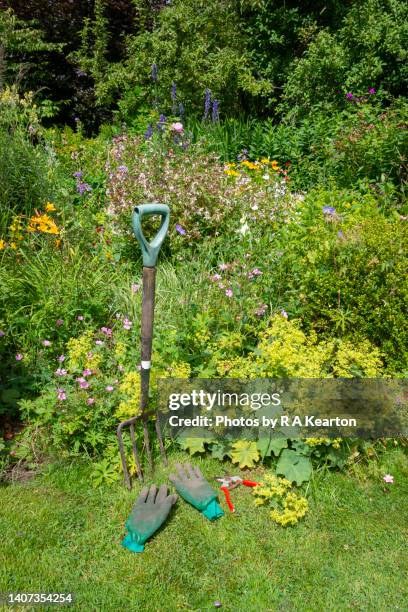 garden tools beside a mixed border in an english country garden - pie de león fotografías e imágenes de stock