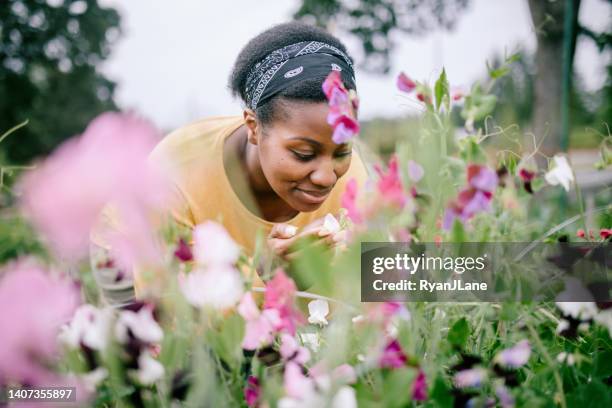 mujer oliendo flores de guisantes snap - oler fotografías e imágenes de stock