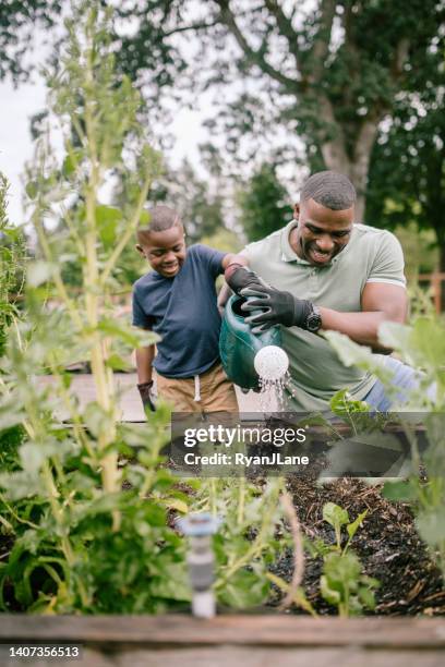 father gardening with his son - community garden family stock pictures, royalty-free photos & images