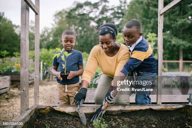 mother gardening with her children - community garden family stock pictures, royalty-free photos & images