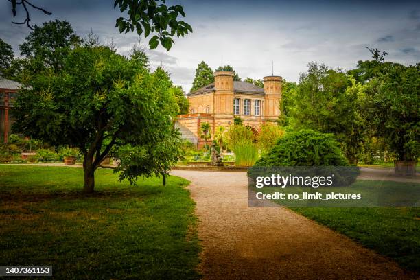 öffentlicher botanischer garten karlsruhe - karlsruhe stock-fotos und bilder