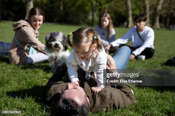 playful happy toddler pinning down her father on a grassy area in public parkland with three teenagers and a pet dog in the background on a sunny day in springtime. - teenager man mischievous stock pictures, royalty-free photos & images