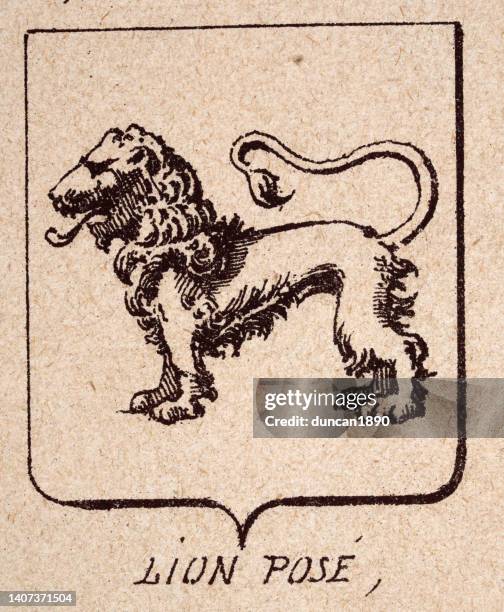 Escutcheon (Heraldry) Photos and Premium High Res Pictures Getty Images